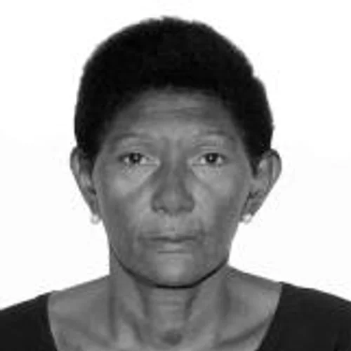 Silvia Regina - Pil