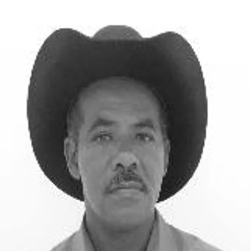HAMILTON SANTANA