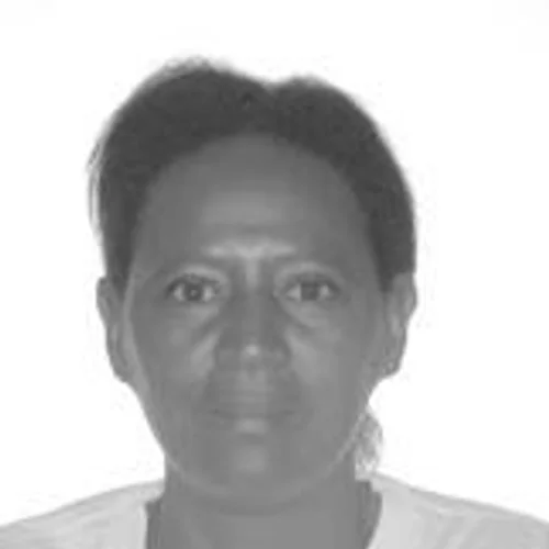 LIA DO PAPELÃO