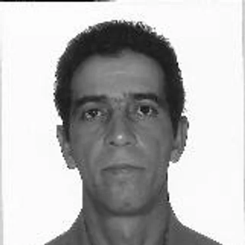 Du Pedreiro