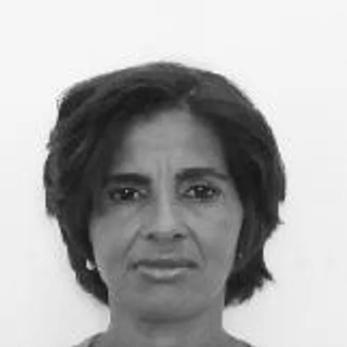 WILDIMÊ ABELHINHA