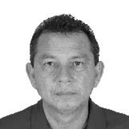 Amigo Galinha