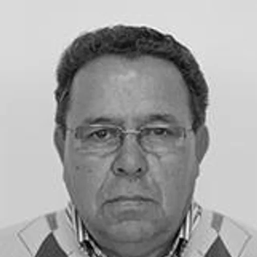 DANIEL LINS