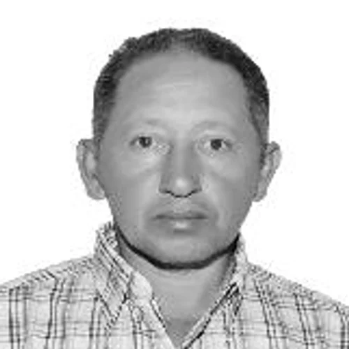 ZÉ ILSON