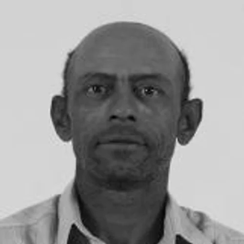 Reni da Carrocinha