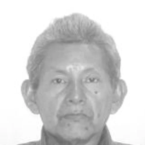 Professor Anacleto