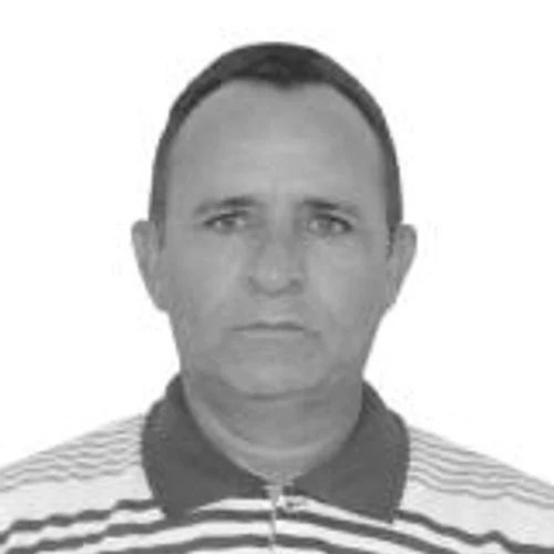 ZÉ DAVID