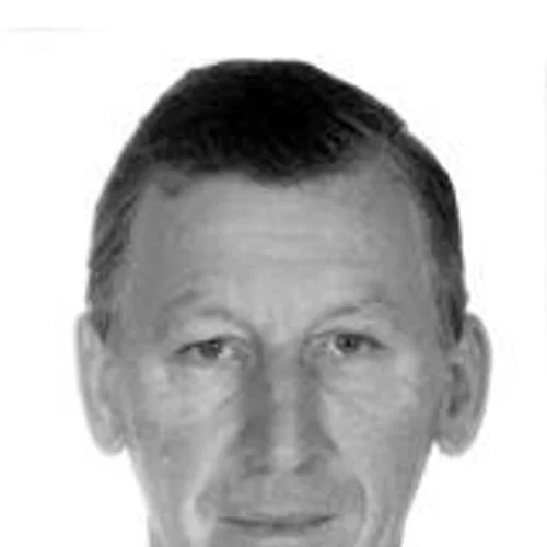 Arlindo Paulus