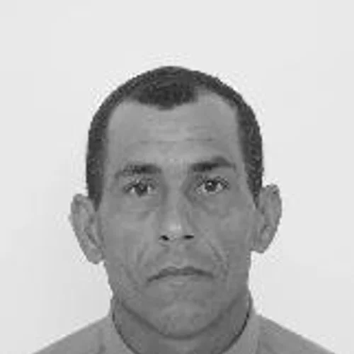 Luiz Novela
