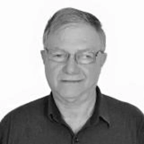 LAURI PALAVICINI